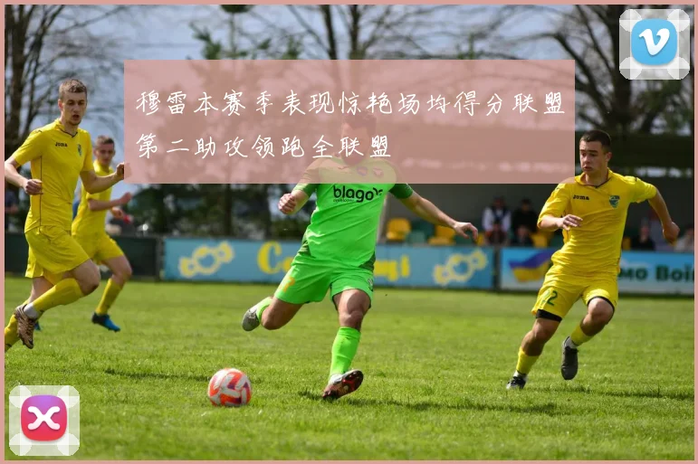 穆雷本赛季表现惊艳场均得分联盟第二助攻领跑全联盟